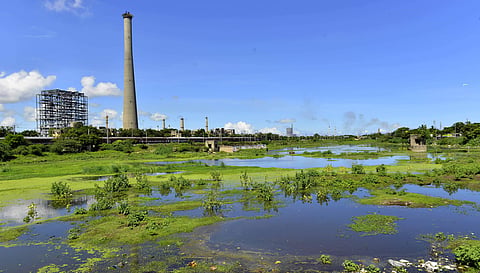 Vannar Kulam (Dhobi's Pond) in Ennore has now deteriorated due to the growth of weed, encroachments and heavy silt formation. | D Sampath Kumar/EPS
