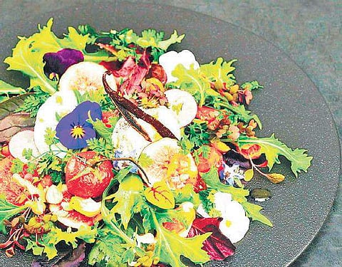 Should you try out the latest diets? 