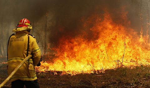 Firefighters work to contain a bushfire along Old Bar road in Old Bar. (Photo | AP)