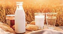 Dear dairy