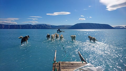The melted Arctic ocean. (Photo | AP)