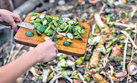 Breaking down the rules of composting 