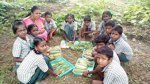 Students of panchayat union school at Perali village in Perambalur cultivating vegetables on their school premises. (Photo | EPS)