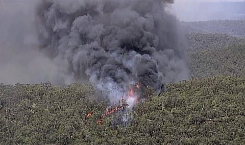 In this image made from video, huge plumes of smoke billow from trees on fire in Gospers Mountain, New South Wales, Australia. (File photo | AP)