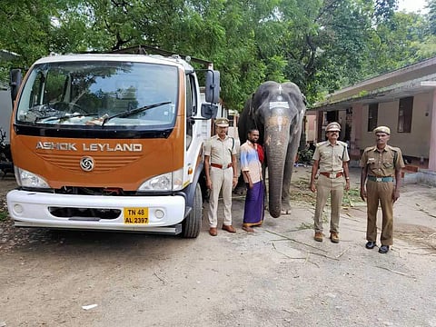 Elephant rescued, sent to rehabilitation centre