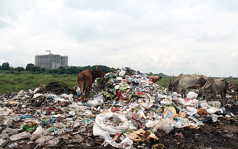 Garbage accumulated at the Palar river bed. (Photo | EPS)