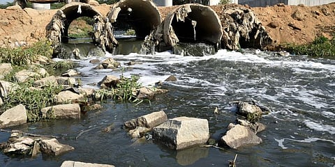 Chemical Waste (Representative Image)