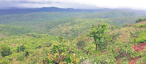 Kappatagudda sanctuary under gold mining pressure