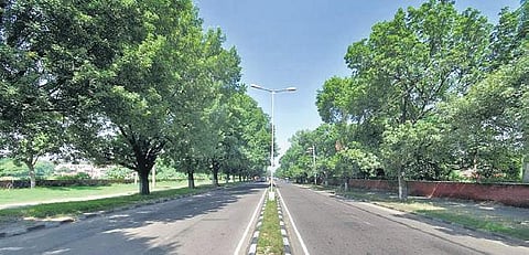 Picture for representational purpose