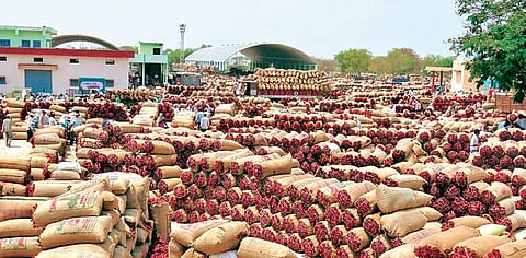 Red chilli that have arrived at the Enumamula agriculture market in Warangal