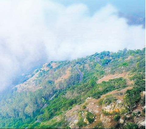 Nandi Hills