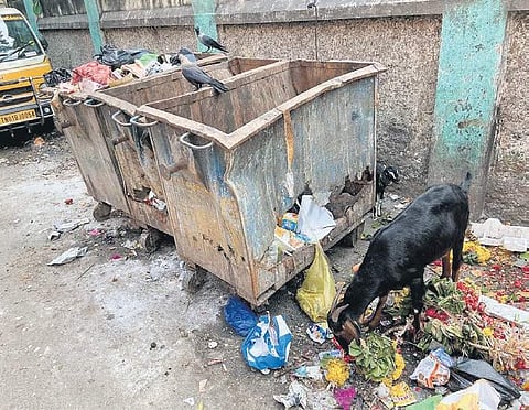 The replacement and maintenance of  the bins have been outsourced to private contractors | Express