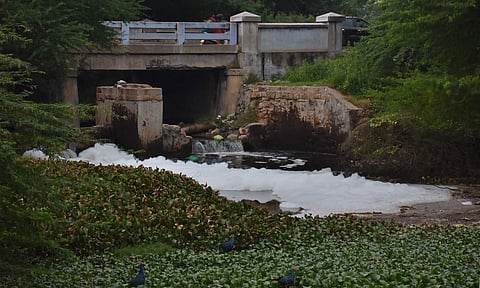 Noyyal River frothing in  Coimatore. (Photo | Express)
