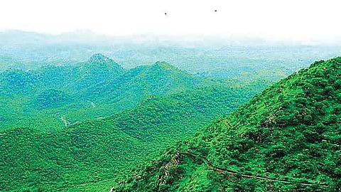The Aravalli range 