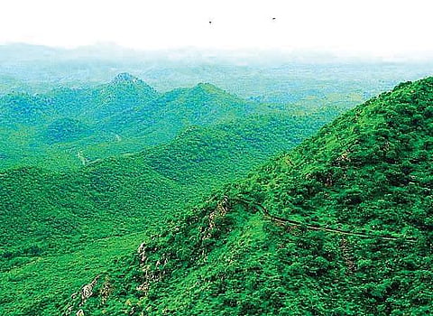A Manikandan was appointed as range officer of Udumalaipet. C Sivakumar filed a case in the Madras High Court opposing the transfer. 