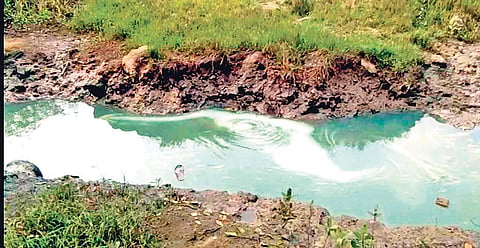 Oil floating in a creek of Kaudia river  | Express