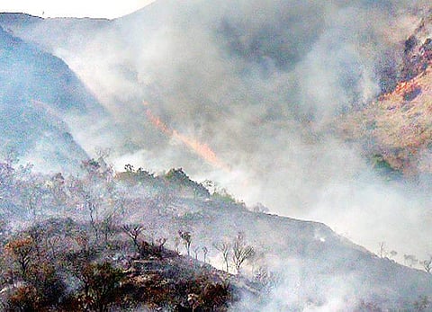 Forest fire on the Banasura Hill in Wayanad  | Express