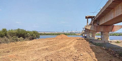 Mangroves destroyed and earthwork carried out in Ennore creek | Express