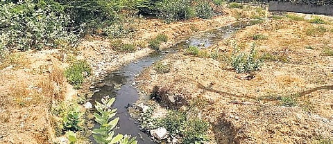 Treated sewage flows into the Serapanancheri lake  | express
