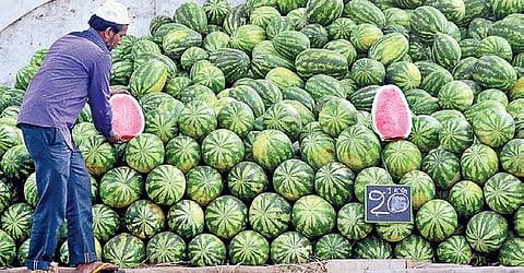 The prices of the fruits are expected to increase further post the Shivaratri festival on March 4