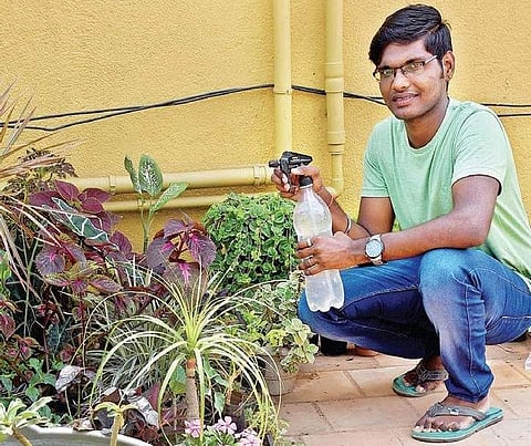 Gokuleshwaran A has over 300 plants, including ponytail palm, coleus, etc