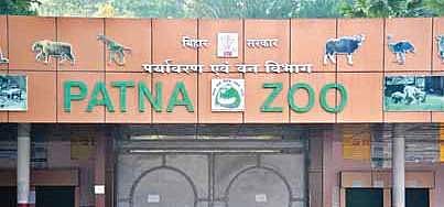 Patna diary