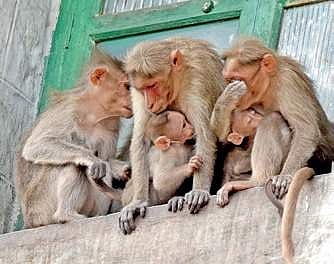 Representative Image.
