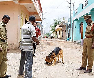 Representational imageo of a sniffer dog squad.  (File Photo)