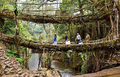An EVM awareness team uses the famous double-decker living root bridges to traverse polling stations at Nongriat in Shillong. (Photo | PTI)