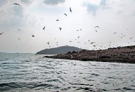 Bhadra Reserve backwaters