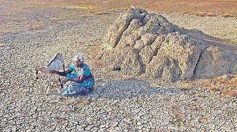 A woman sitting on the dry bed of the Puzhal Lake  near Kallikuppam  | Martin louis