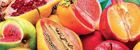 Do you know that the nutrients in fruits and vegetables are mostly concentrated in the peel? Sadly, we often discard the peel without giving much thought to it.