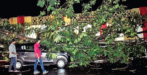 A car that got damaged after a tree branch fell over it on the Press Club road after heavy rain lashed Thiruvananthapuram  city on Friday evening | Express