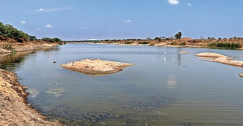 The Coovum river remains clean and largely devoid of any  pollution near Anaikattucheri | D Kishore Kumar