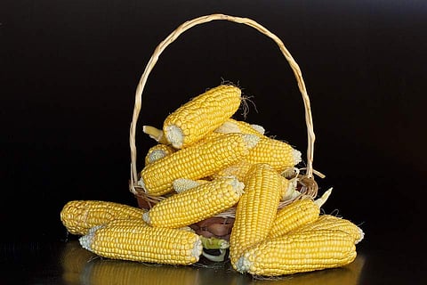 Representational image.