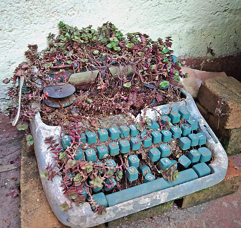 Zen in urban gardens