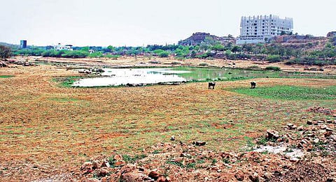 The fast-drying Peeranchuruvu lake in Hyderabad | Sathya Keerthi