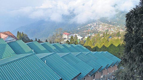 A walk through clouds in  Darjeeling
