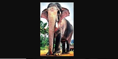 Thechikkottukavu Ramachandran