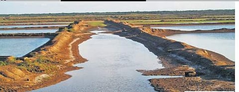 A damaged shrimp farm near Gupti village of Kendrapara district