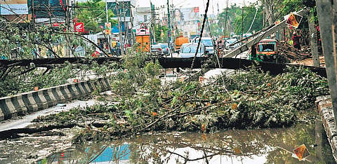 Electrocution cases prompt BESCOM to plan awareness drive in schools