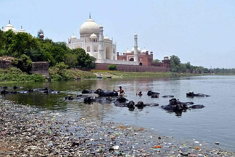 Pradeep Bansal has drawn attention of environmentalists and eco-activists who now want his experiment replicated in other towns along the banks of the river. (Photo | IANS Twitter)