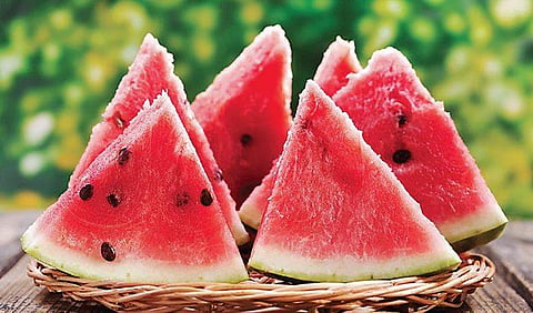 Watermelon, the water-rich fruity summer wonder