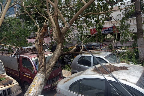 An uprooted tree on vehicles stand in front of Kharvel Nagar Police Station in Bhubaneswar (Photo | Biswanath Swain/EPS)