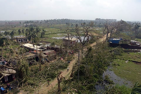 Damaged trees on a Puri-Satapada road near Korua in Puri district (Photo | Biswanath Swain/EPS)