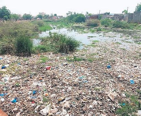 Highly-polluted Pothuraju canal in Ongole | Express