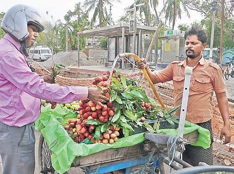 Vendor pours water to keep litchi fresh in Bhubaneswar on Monday  (Photo | Irfana, EPS)