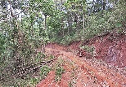 Bhadra Tiger Reserve