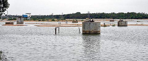 Check dam at Kambarasanpettai still holds enough water | M K ASHOK KUMAR