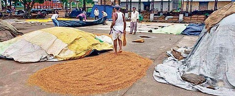 Farmers covering paddy stocks with polythene sheets in Tarapur under Kalahandi district on June 21.  ( Photo | EPS)